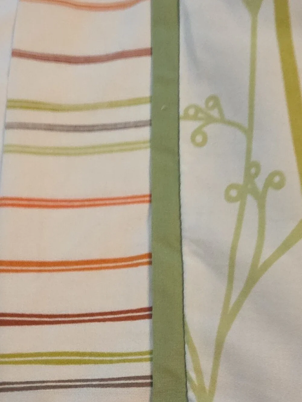 Botanical Modern Botanical Stems Poppy Revisable Stripes Twin Comforter